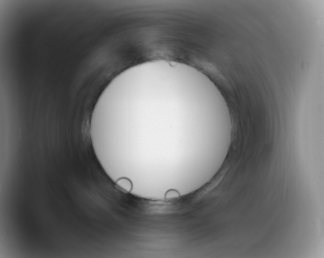 X0000089720240200707201827