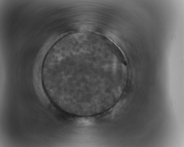 X0000089720241200707201826