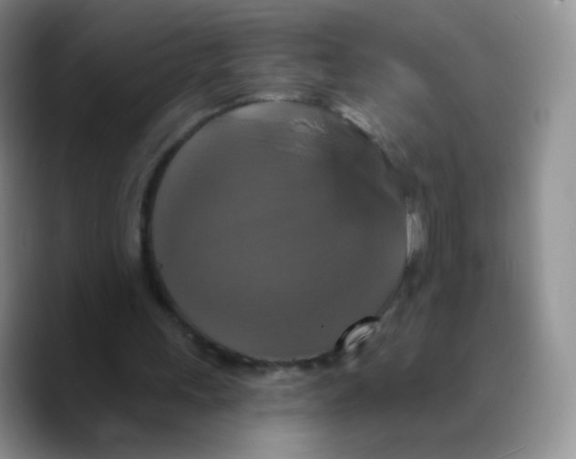 X0000089720243200707201826