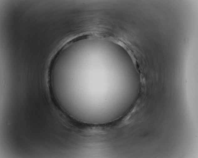 X0000089720244200707201826