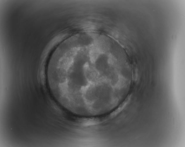 X0000089720245200707201826