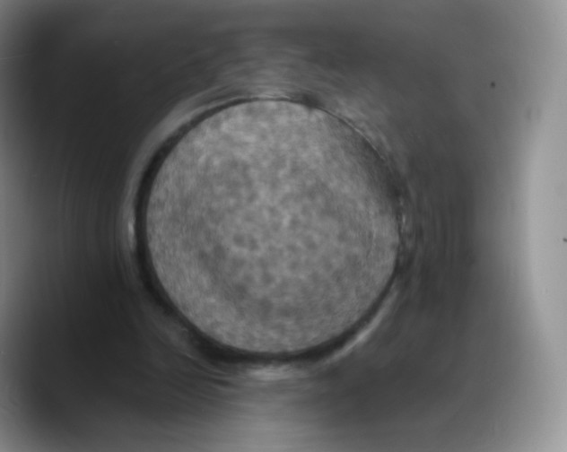 X0000089720246200707201826