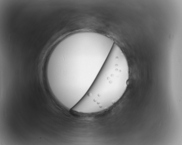 X0000089720247200707201826