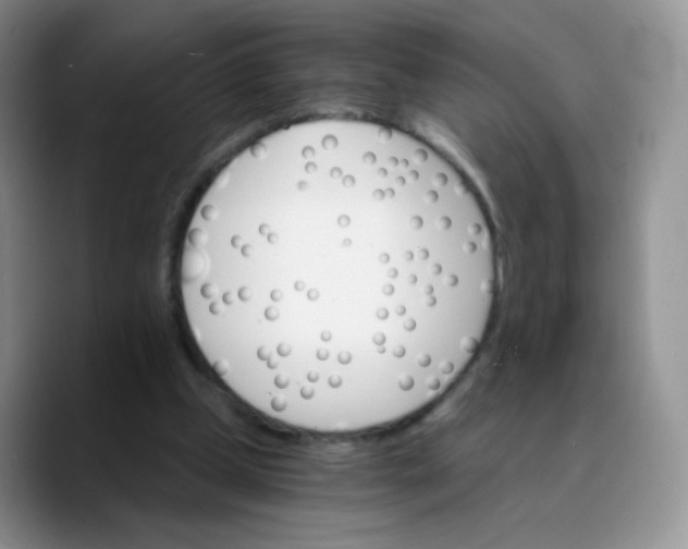 X0000089720249200707201826