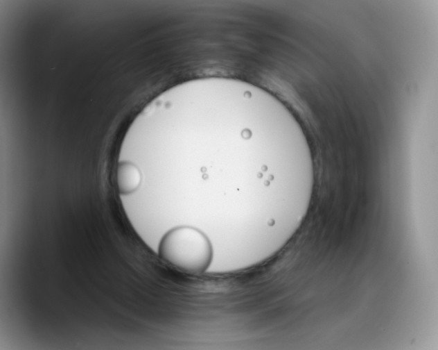 X0000089720250200707201826
