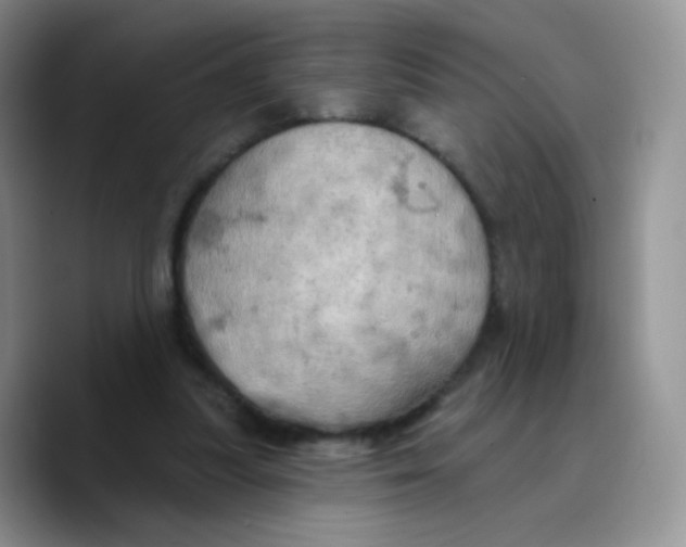 X0000089720251200707201826