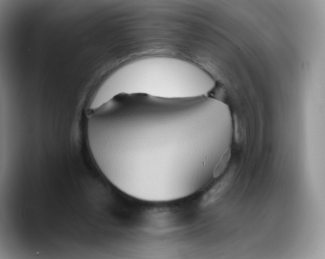 X0000089720252200707201826