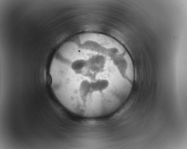 X0000089720253200707201826