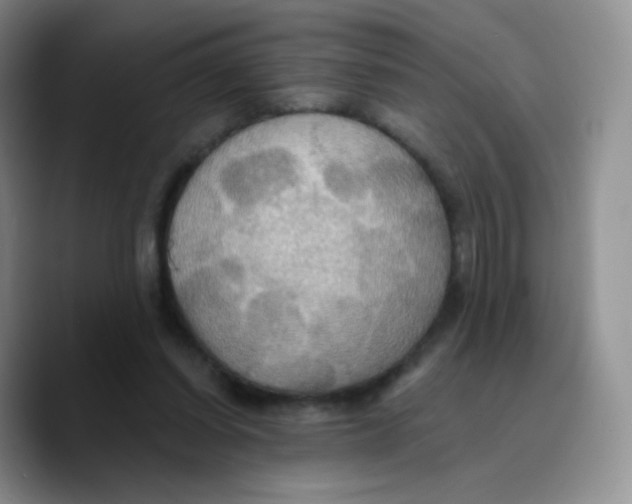 X0000089720254200707201826