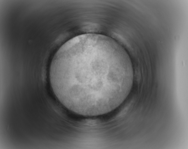 X0000089720255200707201826