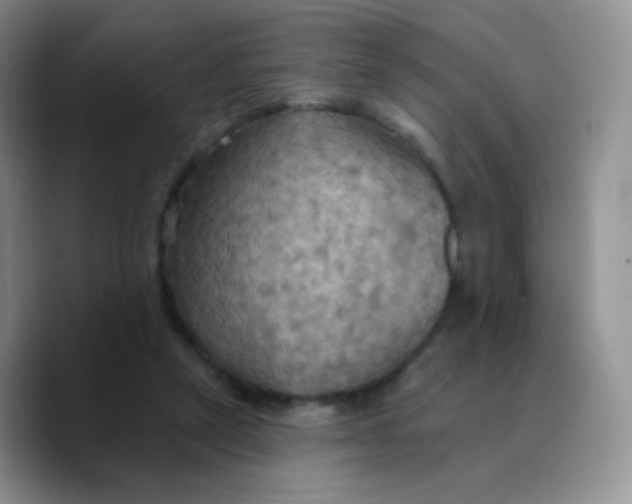 X0000089720257200707201826