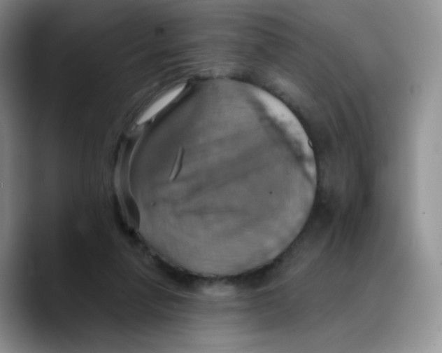 X0000089720258200707201826