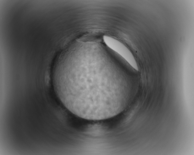 X0000089720259200707201826