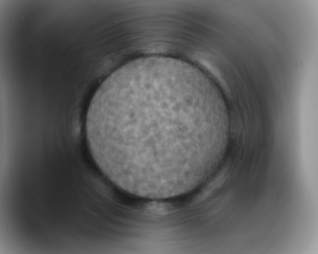 X0000089720261200707201826