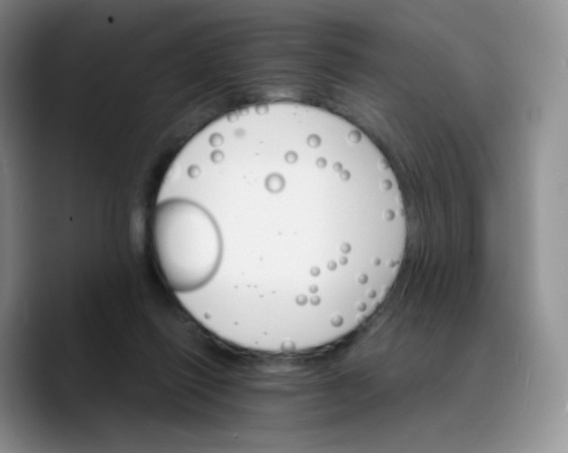 X0000089720262200707201826