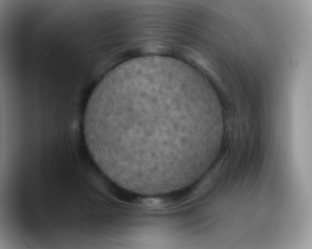 X0000089720265200707201827