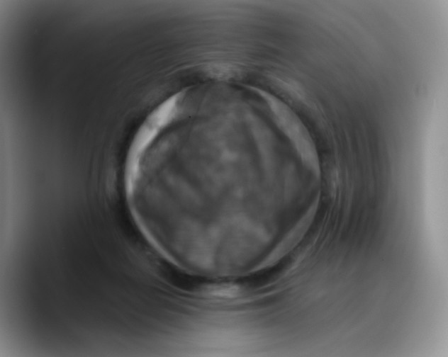 X0000089720266200707201827