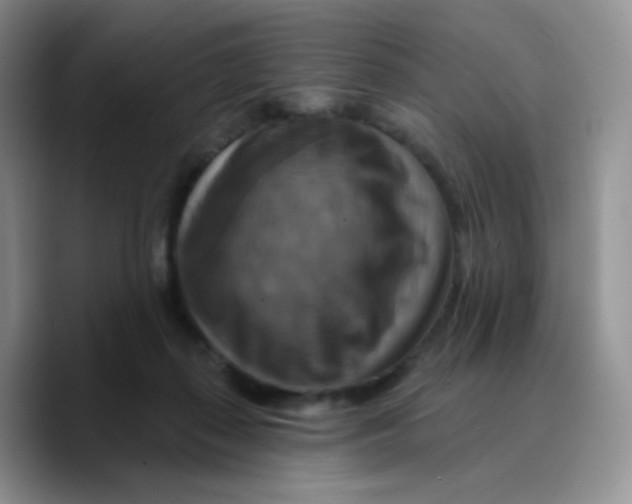X0000089720267200707201827