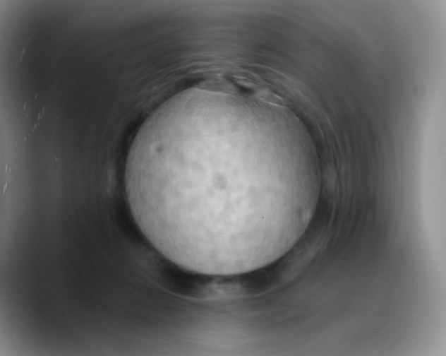 X0000089720270200707201827