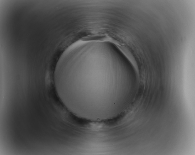 X0000089720272200707201827