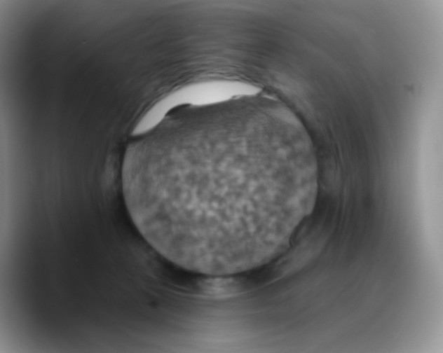 X0000089720273200707201827