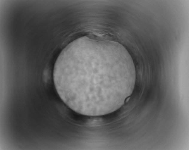 X0000089720274200707201827