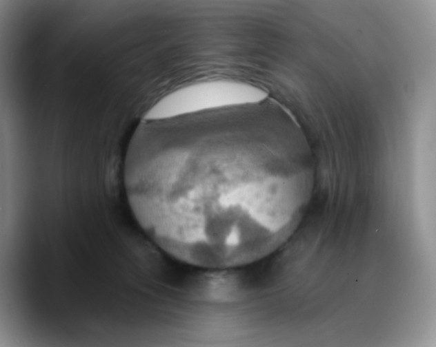X0000089720275200707201827