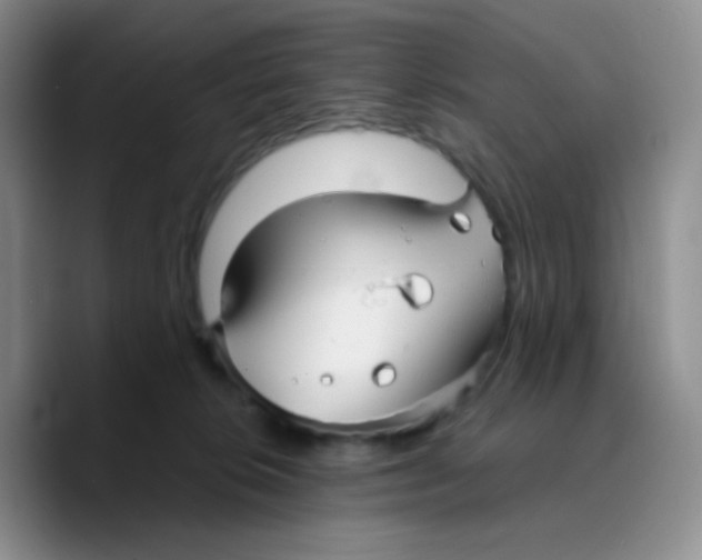 X0000089720276200707201827