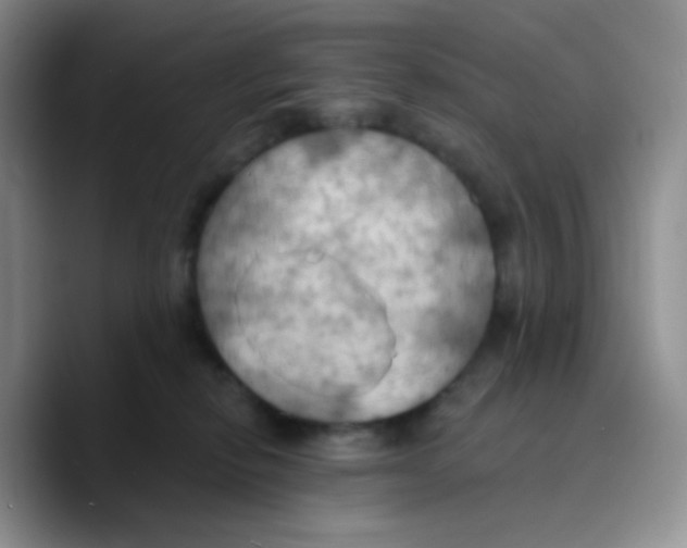 X0000089720278200707201827
