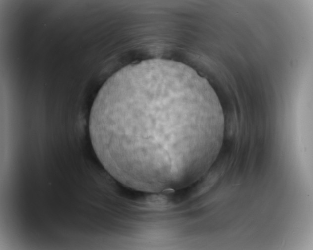 X0000089720279200707201827