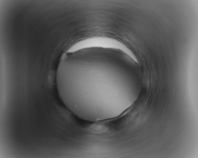 X0000089720280200707201827