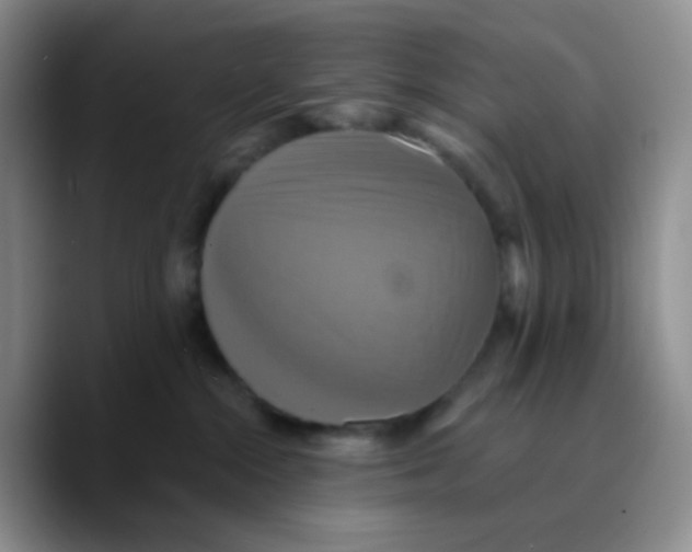 X0000089720284200707201827