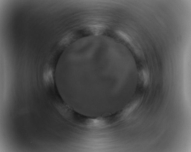 X0000089720286200707201827