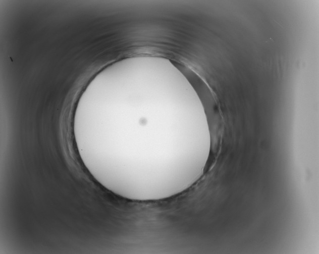 X0000089720289200707201826