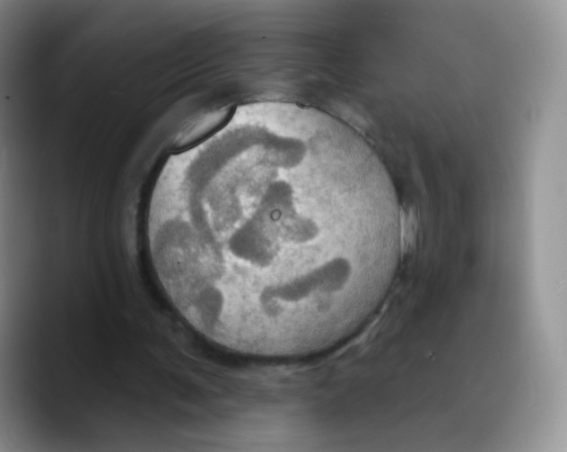 X0000089720291200707201826