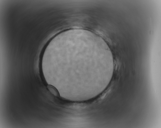 X0000089720292200707201826