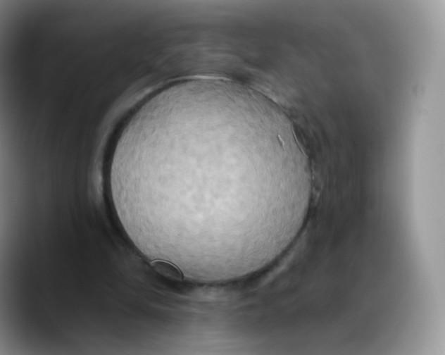 X0000089720294200707201826