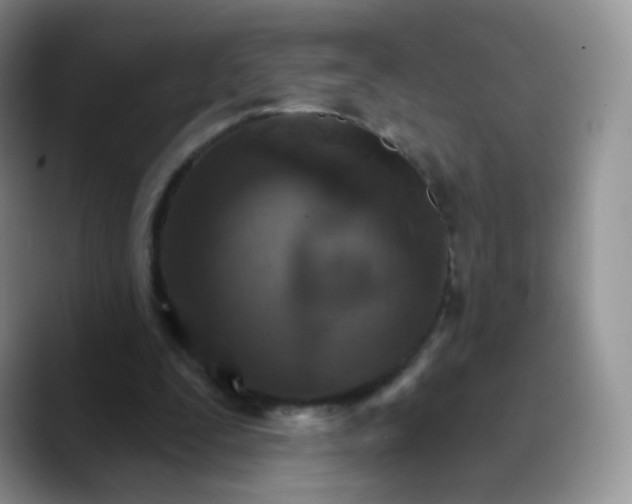 X0000089720295200707201826
