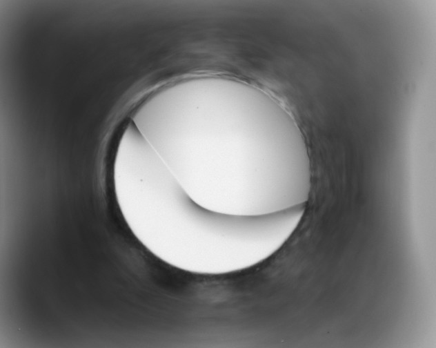 X0000089720296200707201826