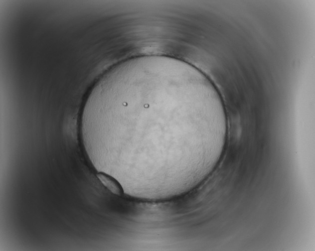 X0000089720297200707201826