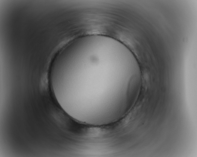 X0000089720298200707201826