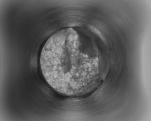 X0000089720299200707201826