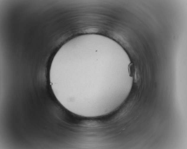 X0000089720300200707201826