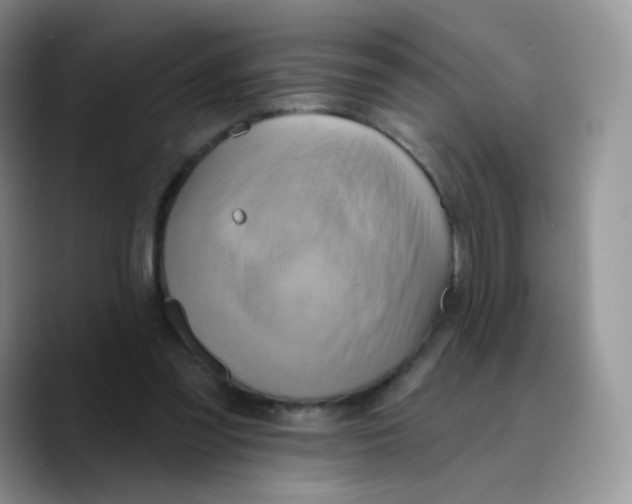 X0000089720301200707201826