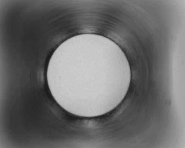 X0000089720302200707201826