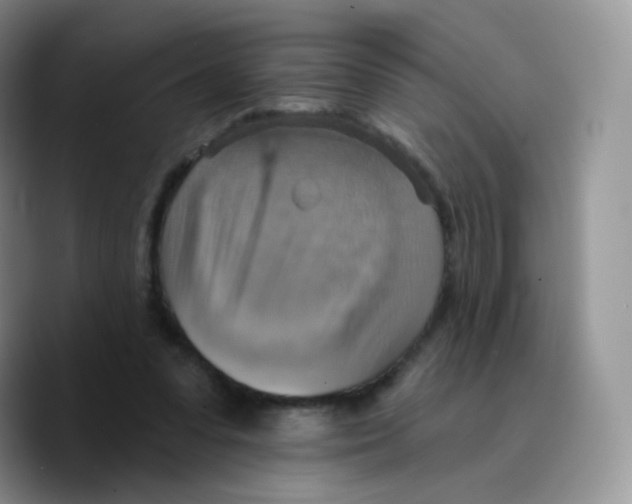 X0000089720303200707201826
