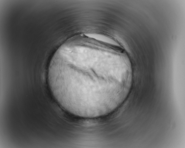 X0000089720305200707201826