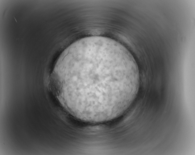 X0000089720307200707201826