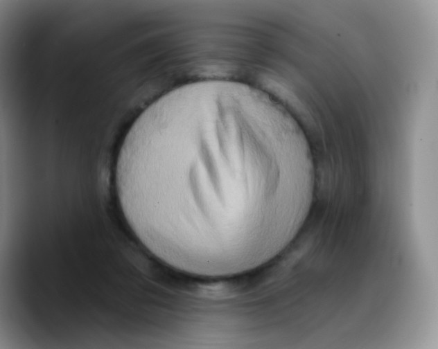 X0000089720309200707201826
