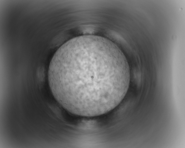 X0000089720311200707201826